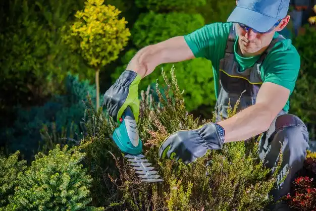 landscaping services Waveland